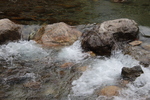 IMG_0129.JPG
