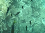 IMG_0576.JPG