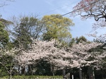 IMG_2534.JPG