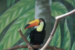 IMG_5331.jpg